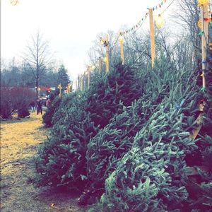 Meet your Posher, Lindsay